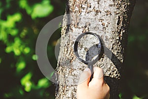 The child is looking in a magnifying glass. Increase.