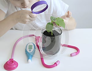Child is looking at small green sprout through magnifier. Preschool environmental education. Earth day. Sign and symbol