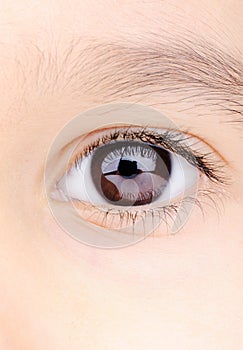 Child macro closeup eye