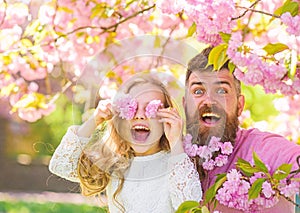 Child and man with tender pink flowers in beard. Father and daughter on happy face play with flowers as glasses, sakura