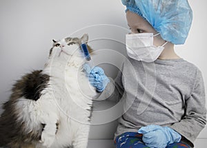 A child in a medical mask plays at the vet. The boy pretends to be treating a Norwegian forest cat. The concept of popularizing