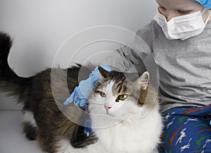 A child in a medical mask plays at the vet. The boy pretends to be treating a Norwegian forest cat. The concept of popularizing