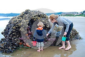 Child and Mother Explore Tide Pools