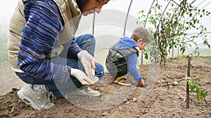 Child with mother plant seeds in greenhouse