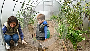 Child with mother plant seeds in greenhouse