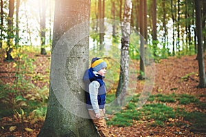 A child nestling tree in the forest