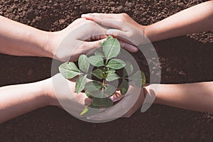 Child and parent hand planting young tree on black soil together