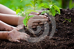 Child and parent hand planting young tree on black soil