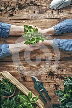 Child and parent hand planting a young tree on black soil together, how to save the world concept in vintage color tonÐµ