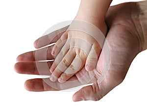Child and parent hands together