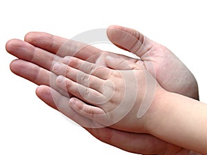 Child and parent hands together