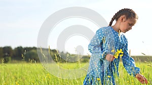 child in the park. little girl picking flowers in a field in the park. happy family kid lifestyle dream concept. allergy