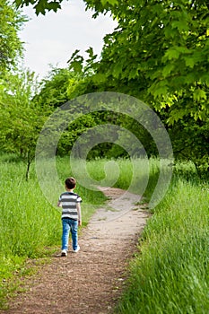 Child, path, choice, boy, walk, alone, go, park, forest, find, explore,kid
