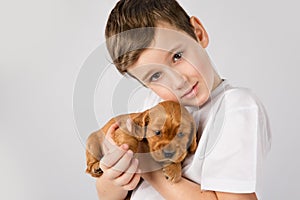 Child pet friendship concept - Portret of little boy with red puppy on white background