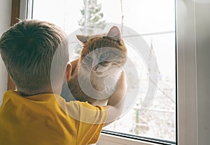 Child and pet at home. Little toddler boy hugs red ginger tabby cat while looking out fo window. Domestic animal and kid