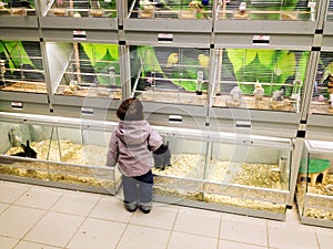 Child in pet shop
