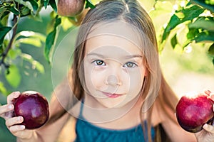 Child picking apples on farm in autumn. Little girl playing in apple tree orchard. Healthy nutrition