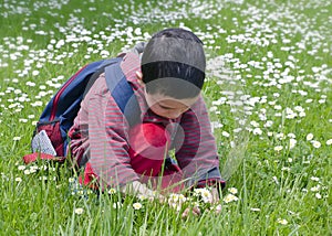 Child picking daises