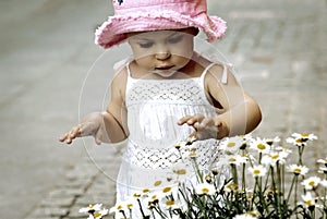 Child picking flowers