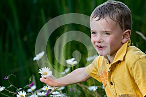 Child picking flowers