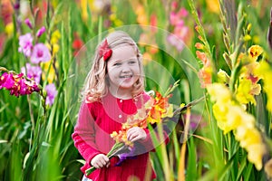 Child picking fresh gladiolus flowers