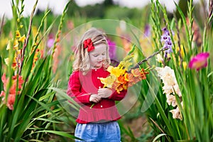 Child picking fresh gladiolus flowers