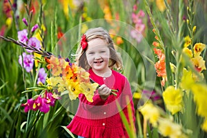 Child picking fresh gladiolus flowers