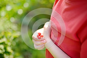 A child picking up red currant in the garden on a sunny summer day. Kids hand is stretching and grabbing ripe berries