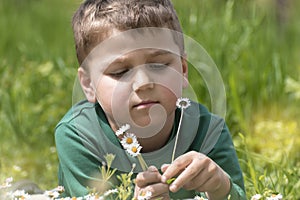 Child picking white daisies in spring meadow. Boy relaxing on nature. Family vacation, summer holiday, weekend outdoor