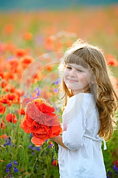 Child picking wild flowers in field. Kids play in a meadow and p