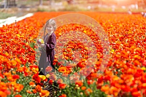 Child picking wild flowers in field. Kids play in a meadow and pick flower bouquet for mother on summer day