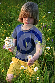 Child picking wildflowers