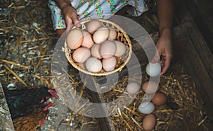 The child picks up the eggs in the chicken coop. Selective focus.