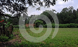 This  child is placed on the top