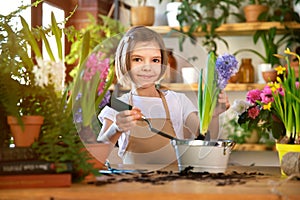 Child planting spring flowers. Little girl gardener plants hyacinth. Girl holding hyacinth in flower pot. Child taking