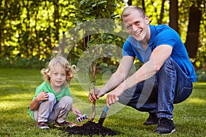 Child planting tree seedling