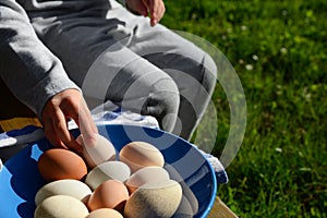 Child with plate of assorted eggs on wooden bench, closeup. Space for text