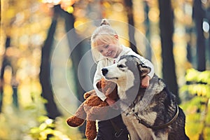Child play with dog in autumn forest. Child with husky and teddy bear on fresh air outdoor