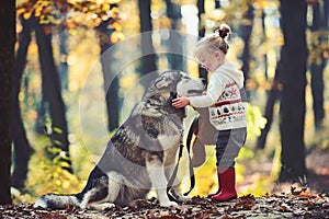 Child play with husky and teddy bear on fresh air outdoor. Red riding hood with wolf in fairy tale woods. Childhood