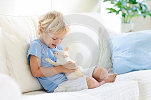 Child playing with baby cat. Kid and kitten