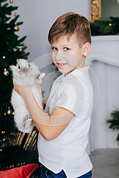 Child playing with baby rabbit. Little boy feeding and petting brown bunny.