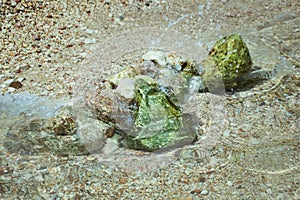 Child playing on the beach and building stone tower. stones on the beach