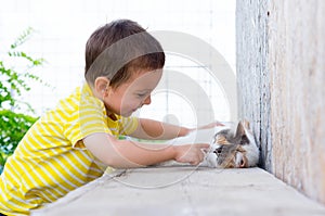 Child playing with cat