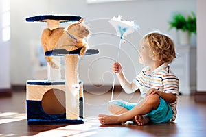 Child playing with cat at home. Kids and pets