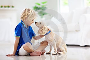 Child playing with dog. Kids play with puppy