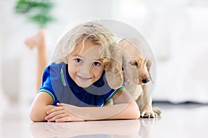 Child playing with dog. Kids play with puppy