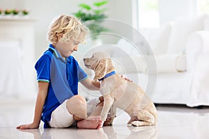 Child playing with dog. Kids play with puppy