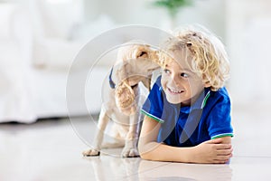 Child playing with dog. Kids play with puppy