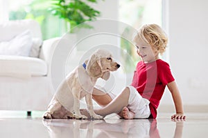 Child playing with dog. Kids play with puppy