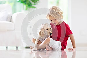 Child playing with dog. Kids play with puppy